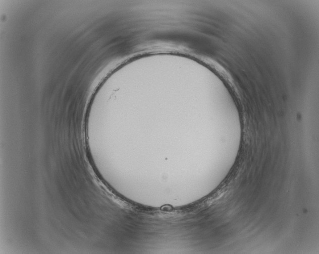 X0000071771191200607282205