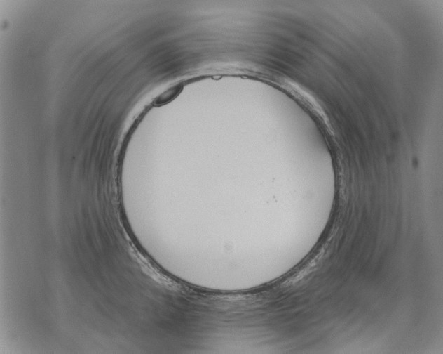 X0000071771192200607282205