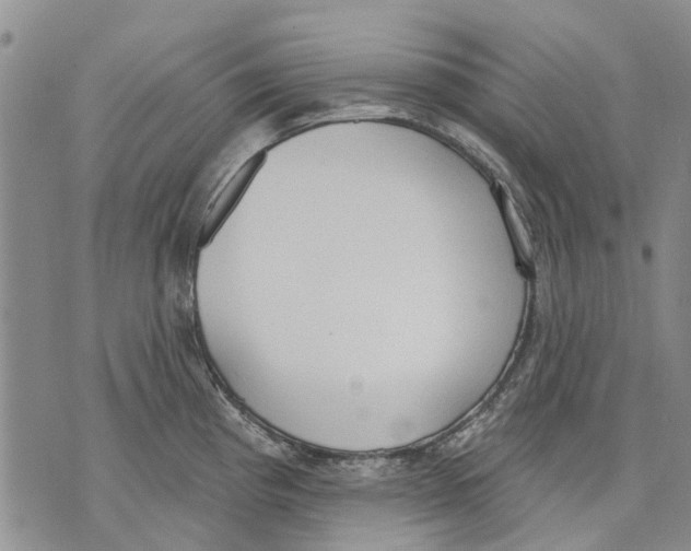 X0000071771193200607282205