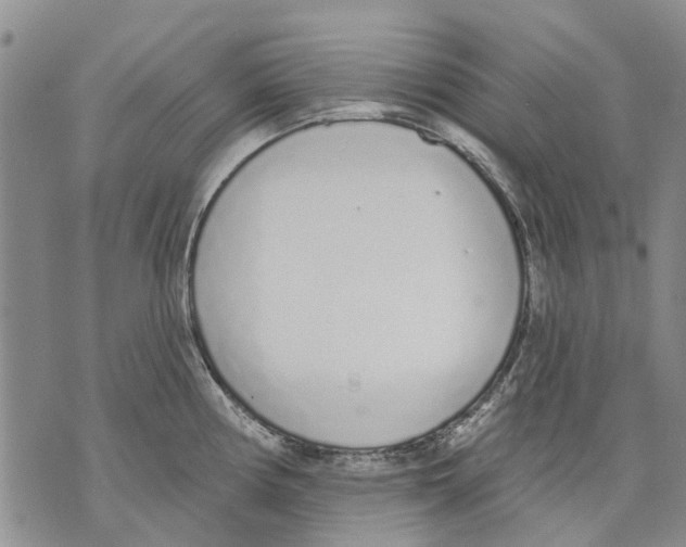 X0000071771194200607282205