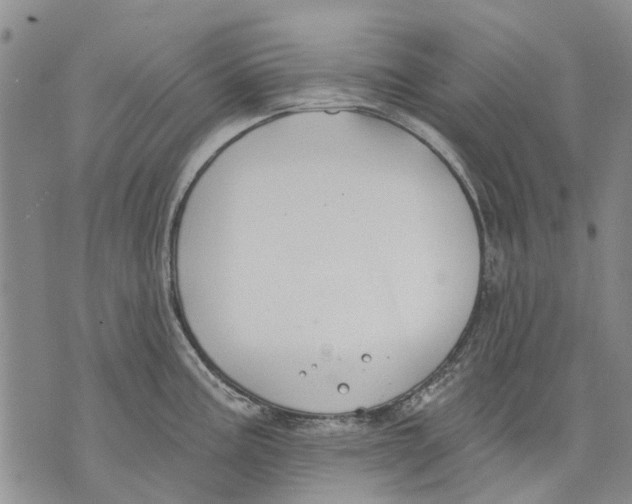 X0000071771195200607282205