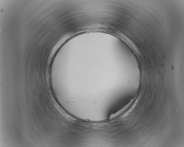 X0000071771196200607282205