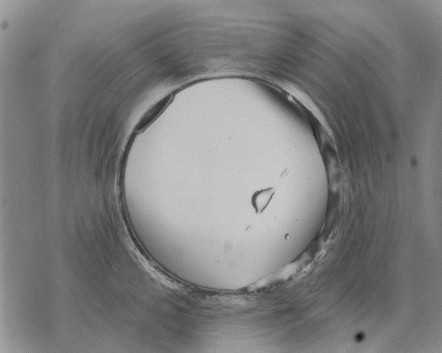 X0000071771197200607282205