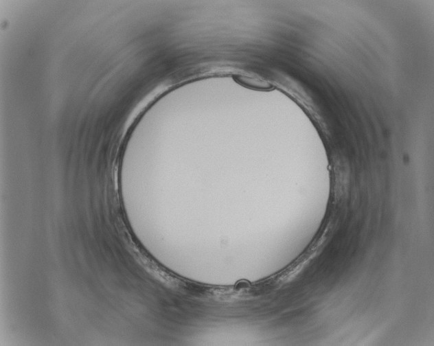 X0000071771198200607282205