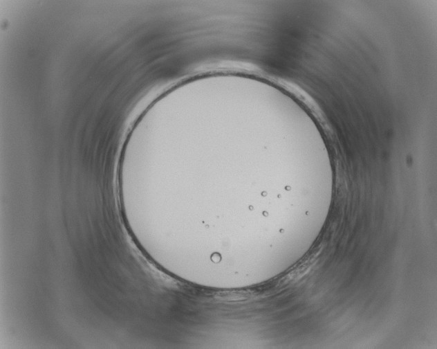 X0000071771199200607282205