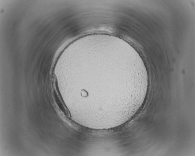 X0000071771200200607282205