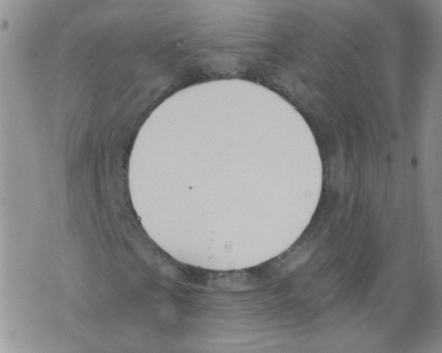 X0000071771201200607282204