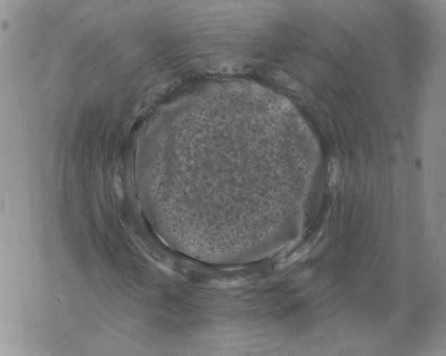 X0000071771202200607282204