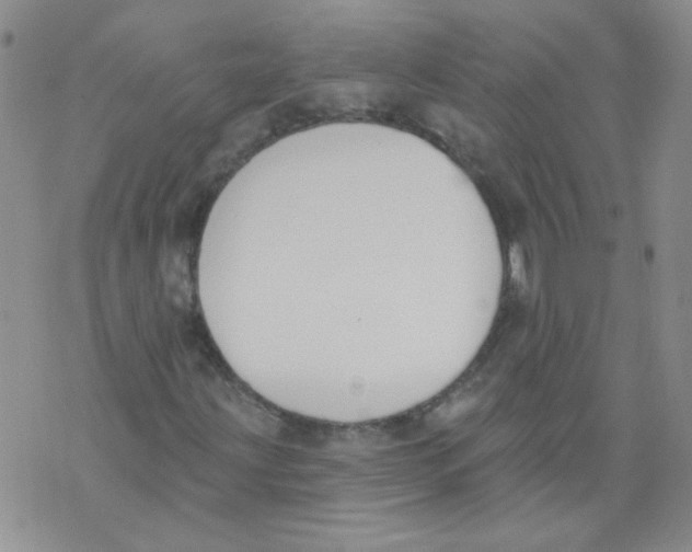 X0000071771203200607282204