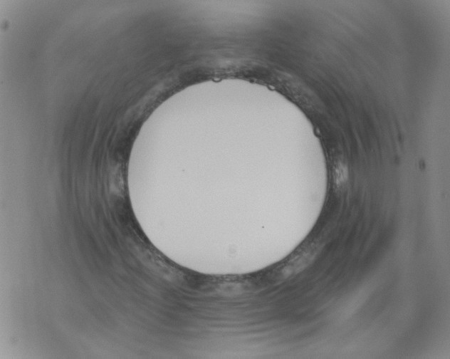 X0000071771204200607282204