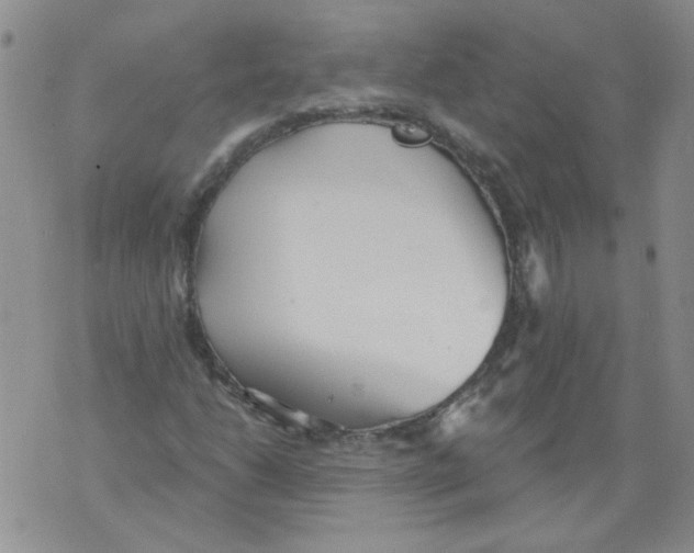 X0000071771206200607282204