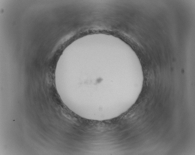 X0000071771207200607282204