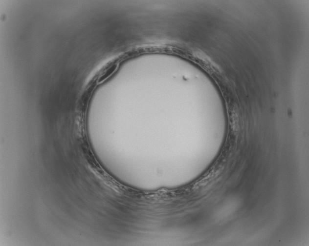 X0000071771208200607282204