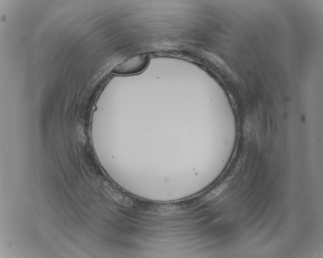 X0000071771209200607282204