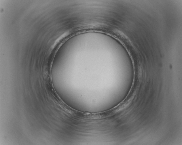 X0000071771210200607282205