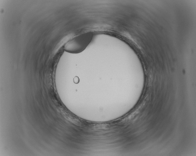 X0000071771211200607282205