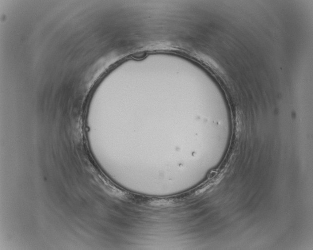 X0000071771212200607282205