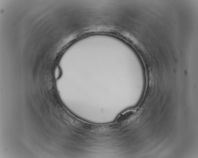 X0000071771213200607282205