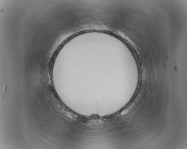 X0000071771215200607282205