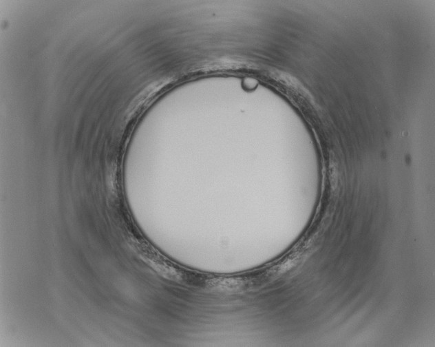 X0000071771217200607282205