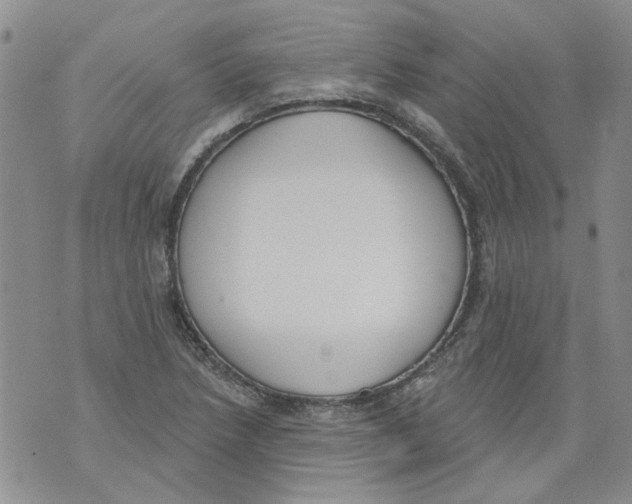 X0000071771218200607282205