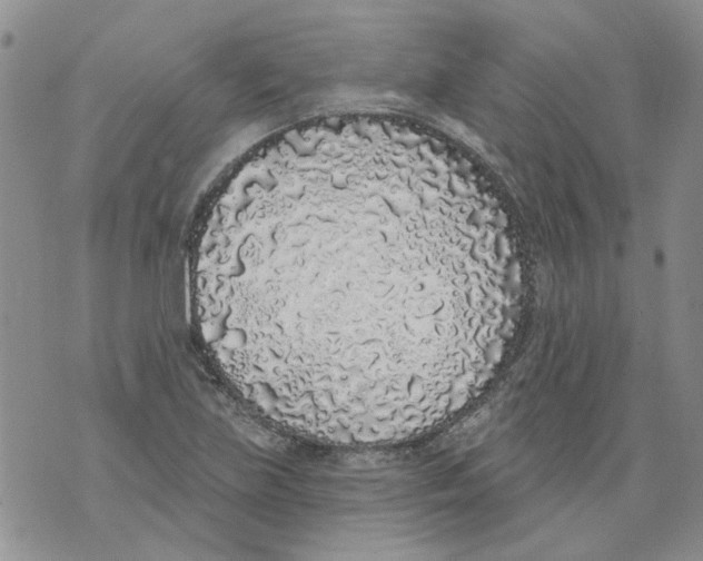 X0000071771219200607282205