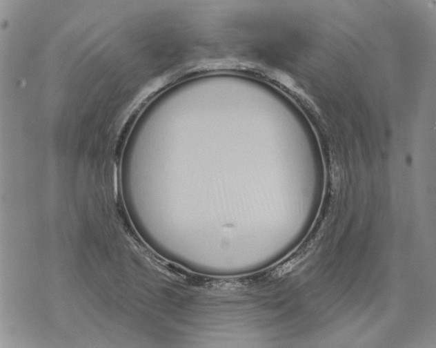 X0000071771221200607282205