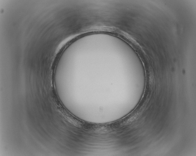 X0000071771222200607282205