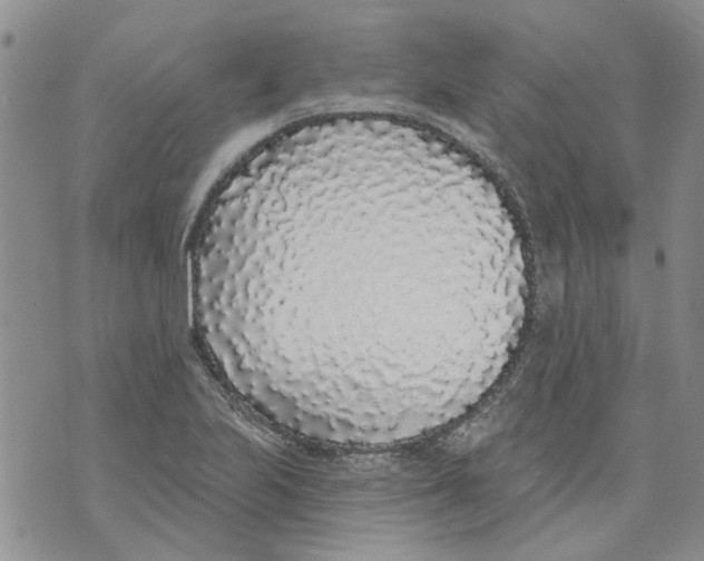 X0000071771223200607282205