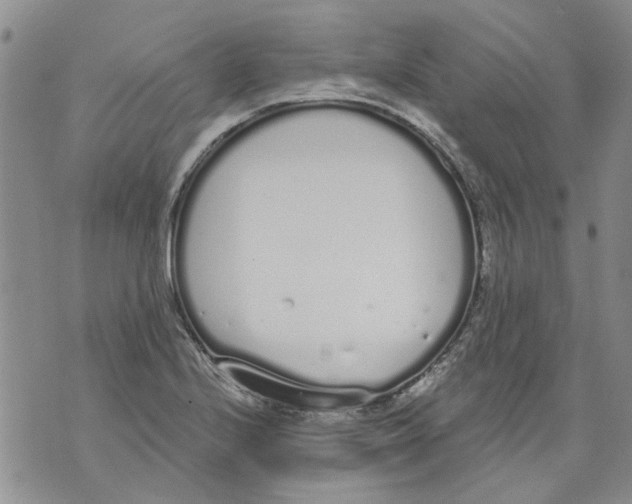 X0000071771224200607282205