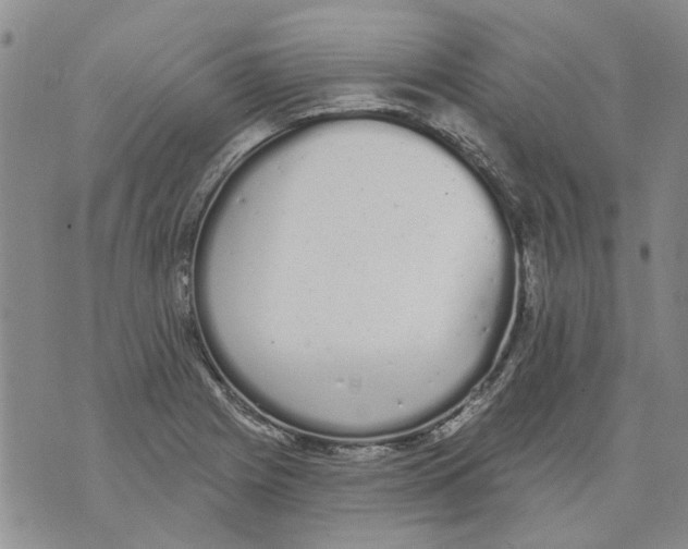 X0000071771225200607282205