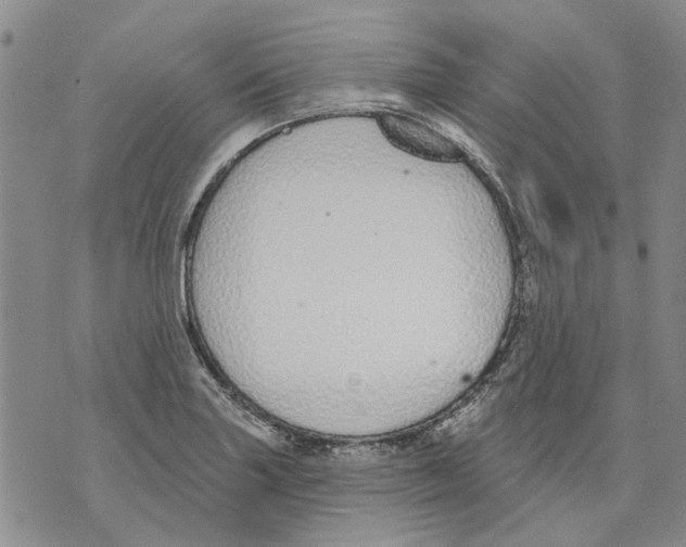 X0000071771227200607282205