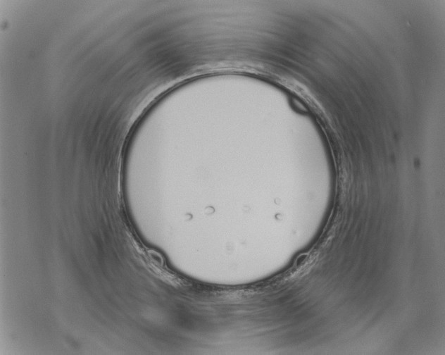 X0000071771228200607282205