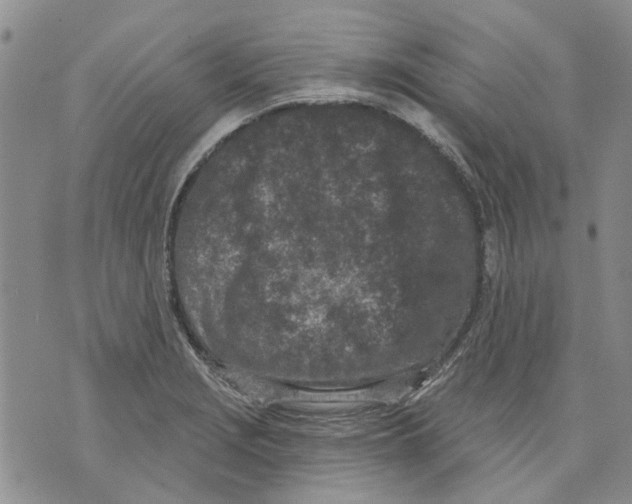 X0000071771229200607282205