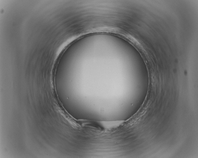 X0000071771230200607282205