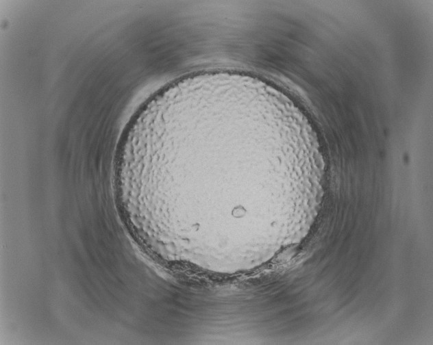 X0000071771231200607282205