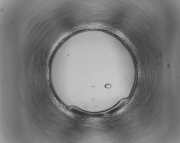 X0000071771232200607282205