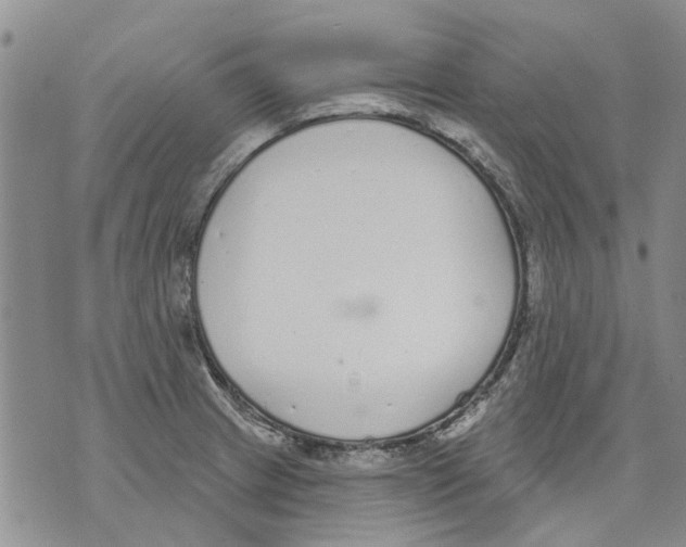 X0000071771233200607282205