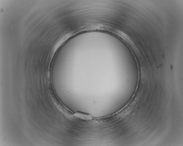 X0000071771234200607282205