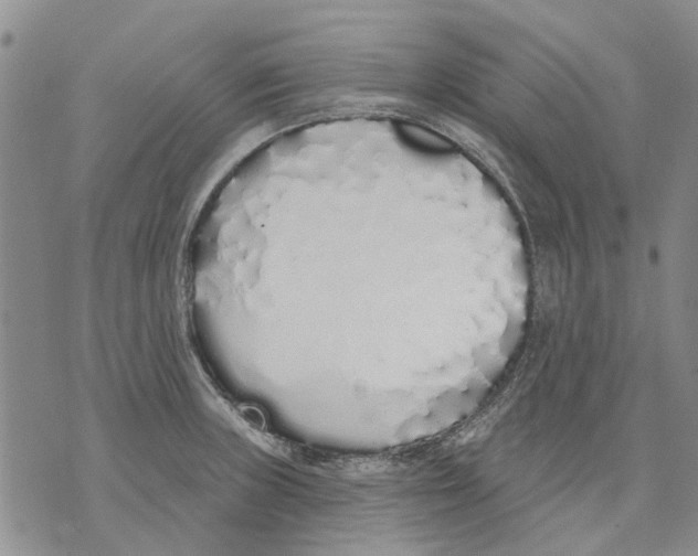 X0000071771235200607282205