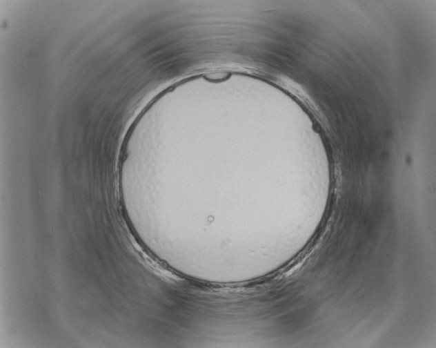 X0000071771236200607282205