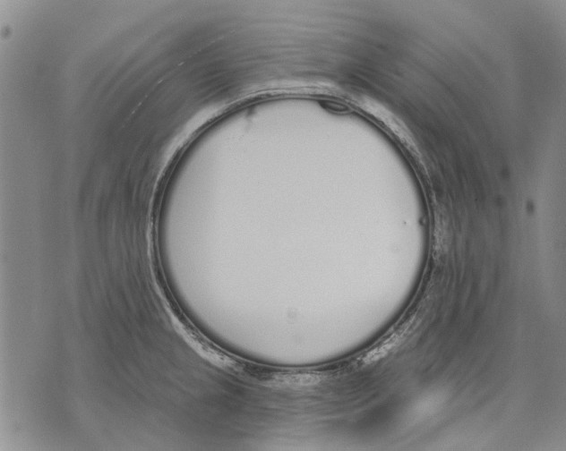 X0000071771237200607282205