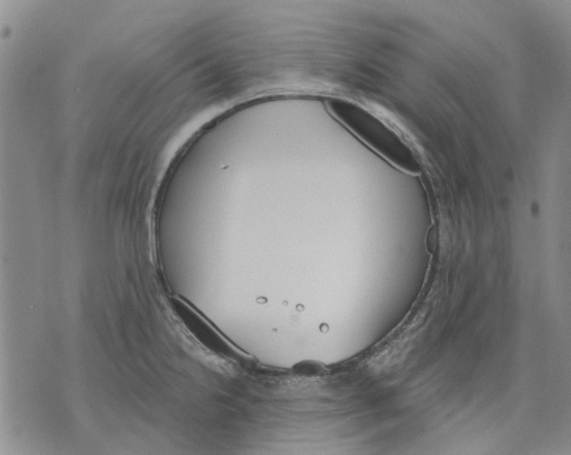 X0000071771238200607282205