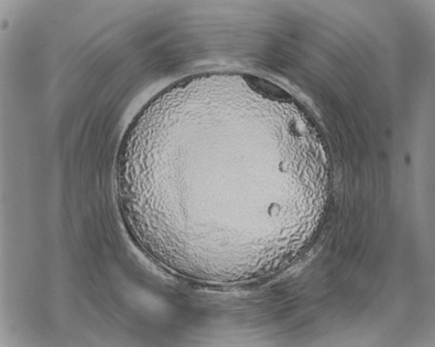 X0000071771239200607282205