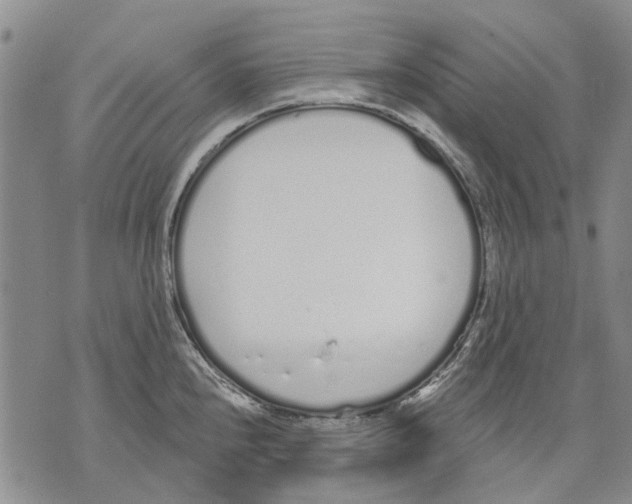 X0000071771240200607282205