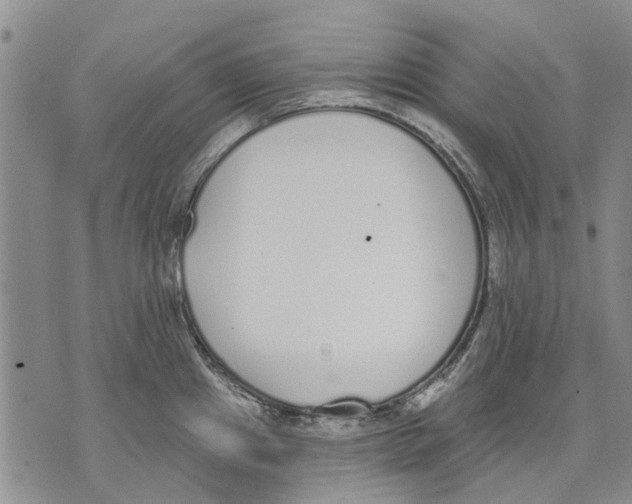 X0000071771241200607282205