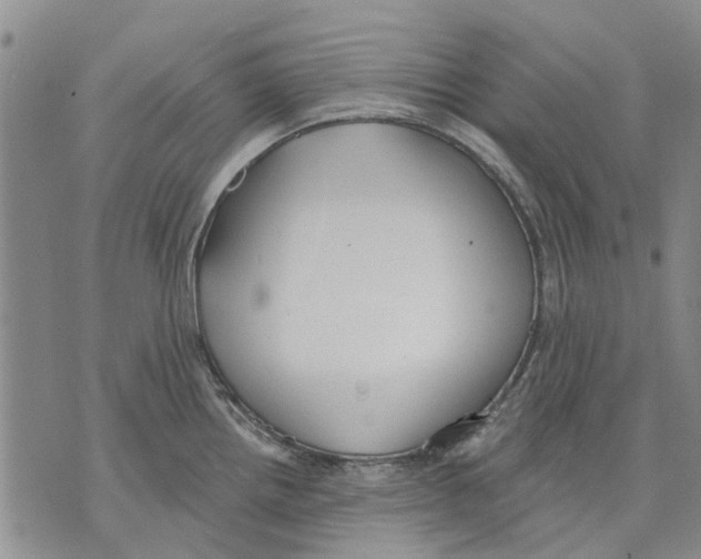 X0000071771242200607282205