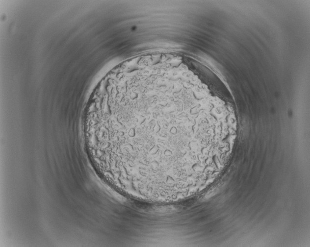 X0000071771243200607282205