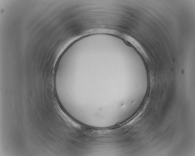 X0000071771244200607282205