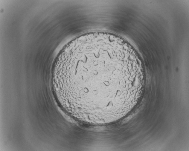 X0000071771245200607282205